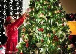 LED Christmas Lights